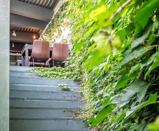 & Cia بيت شباب